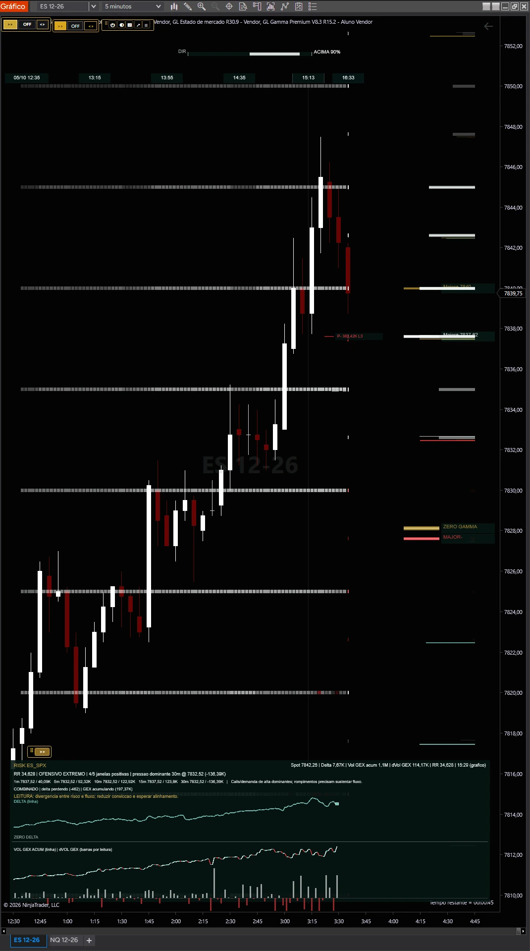 GL Gamma no NinjaTrader: exposição por strike, calls, puts e Zero Gamma