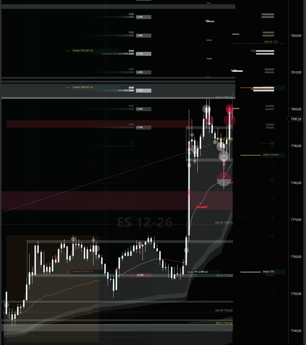 Operacional de 5 minutos no NinjaTrader com leilões, big trades e níveis do GL Gamma